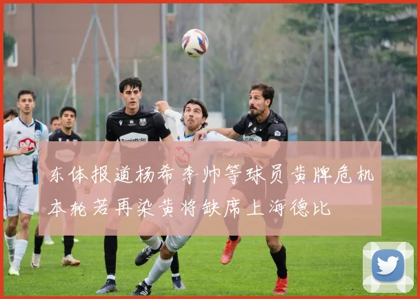 东体报道杨希李帅等球员黄牌危机本轮若再染黄将缺席上海德比