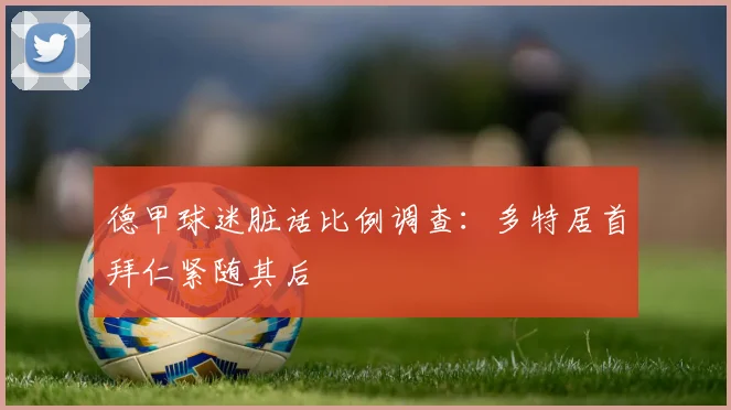 德甲球迷脏话比例调查：多特居首拜仁紧随其后