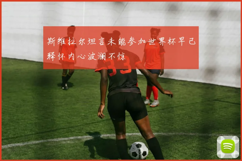 斯维拉尔坦言未能参加世界杯早已释怀内心波澜不惊